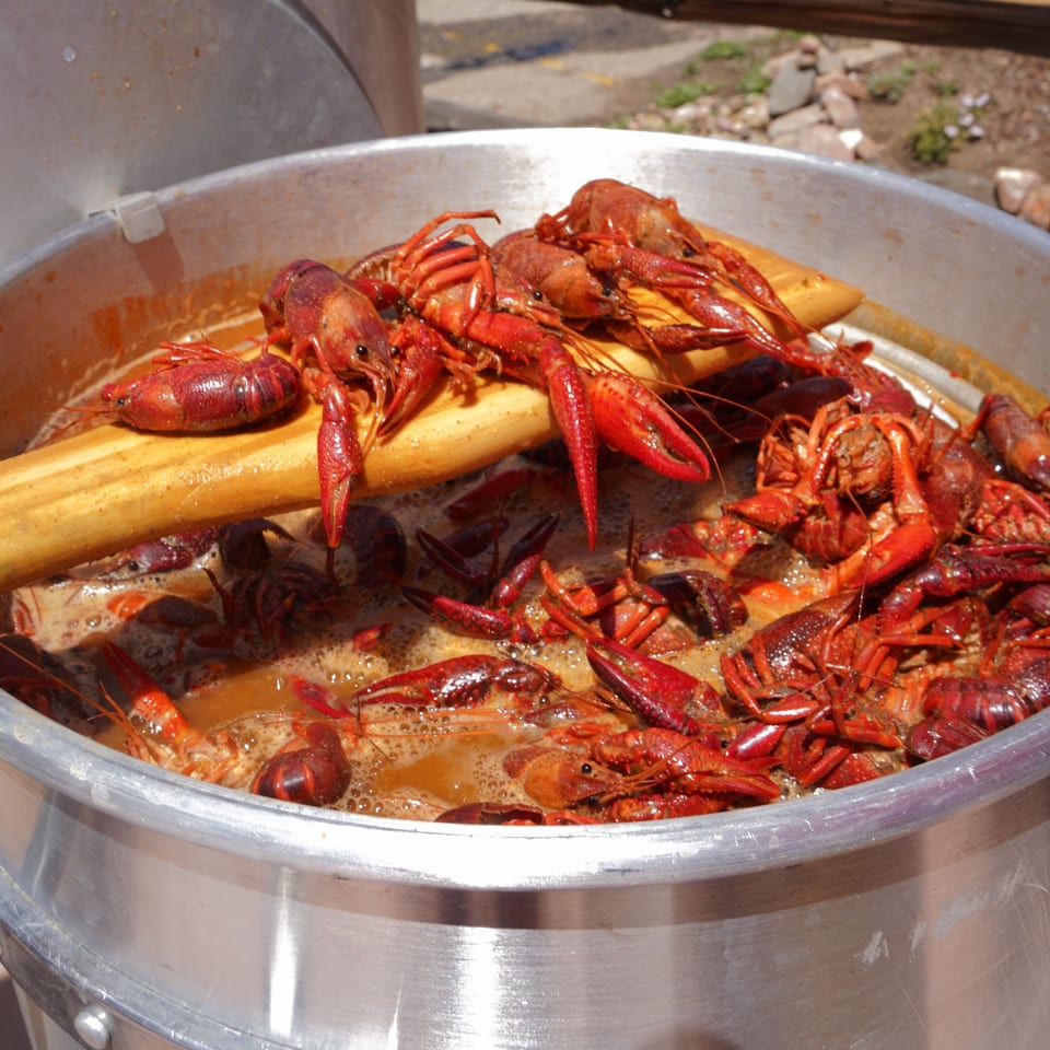 Crawfish cooking at a Hummingbird Club gathering